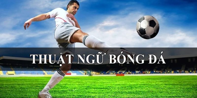 Giải mã ý nghĩa của các thuật ngữ cá độ bóng đá nâng cao